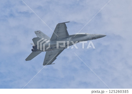 岩国基地航空ショーでデモフライトを行うアメリカ海軍のF/A-18F スーパーホーネット 岩国基地航空ショーでデモフライトを行うアメリカ海軍のF/A-18F スーパーホーネット 125260385