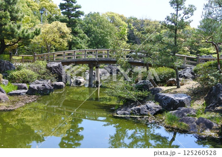白鳥庭園くすのき橋 白鳥庭園くすのき橋 125260528