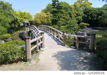 白鳥庭園くすのき橋 白鳥庭園くすのき橋 125260529
