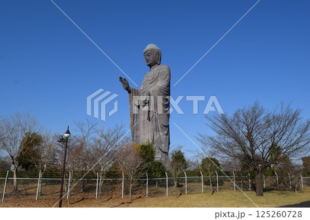 牛久大仏 世界最大のブロンズ立像 牛久大仏 世界最大のブロンズ立像 125260728