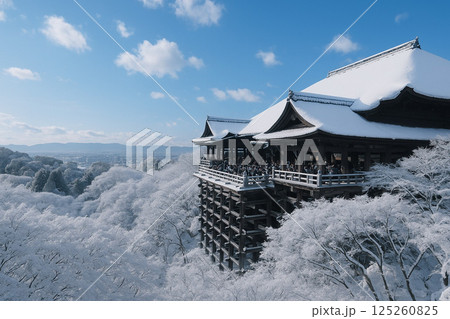 清水寺と雪景色 125260825