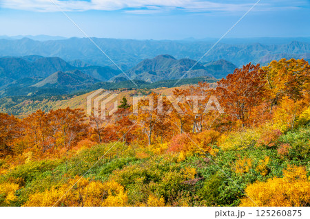 秋田 紅葉に染まる森吉山 125260875