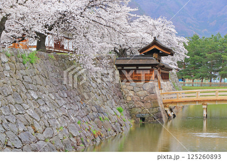 桜咲く松代城跡 125260893