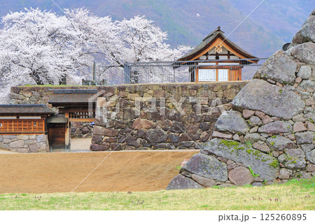 桜咲く松代城跡 125260895