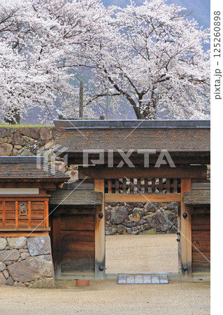 桜咲く松代城跡 125260898