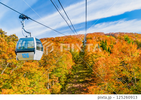 秋田 紅葉に染まる森吉山 阿仁ゴンドラ 秋田 紅葉に染まる森吉山 阿仁ゴンドラ 125260913