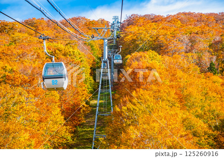 秋田 紅葉に染まる森吉山 阿仁ゴンドラ 秋田 紅葉に染まる森吉山 阿仁ゴンドラ 125260916