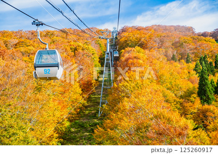 秋田 紅葉に染まる森吉山　阿仁ゴンドラ 125260917