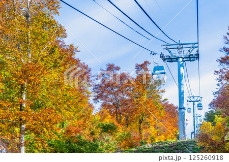 秋田 紅葉に染まる森吉山　阿仁ゴンドラ 125260918