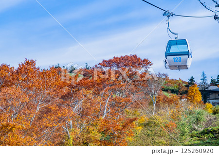 秋田 紅葉に染まる森吉山 阿仁ゴンドラ 秋田 紅葉に染まる森吉山 阿仁ゴンドラ 125260920