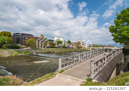 春の鴨川風景　琵琶湖疏水合流付近　京都市 125261267