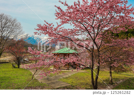 桜咲く園地から谷川岳 桜咲く園地から谷川岳 125261282