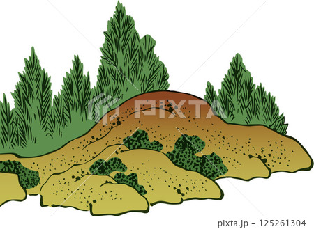 和風の木　その2 125261304