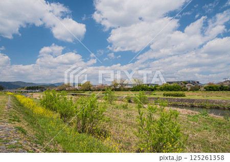春の鴨川風景　京都市 125261358