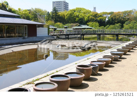 白鳥公園内の汐入亭 125261521