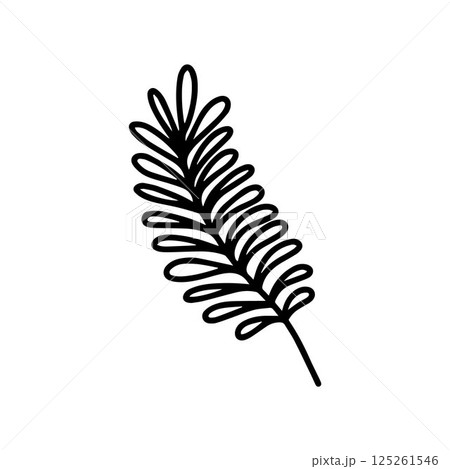 Vector tropical acacia leaf isolated on white background. Funny coloring and cute illustration for seasonal design, textile, decoration kids playroom or greeting card. Hand drawn prints and doodle. Vector tropical acacia leaf isolated on white background. Funny coloring and cute illustration for seasonal design, textile, decoration kids playroom or greeting card. Hand drawn prints and doodle. 125261546