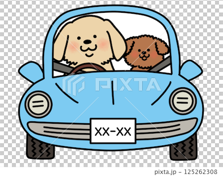 Illustration of a dog driving: Golden Retriever & Poodle 125262308
