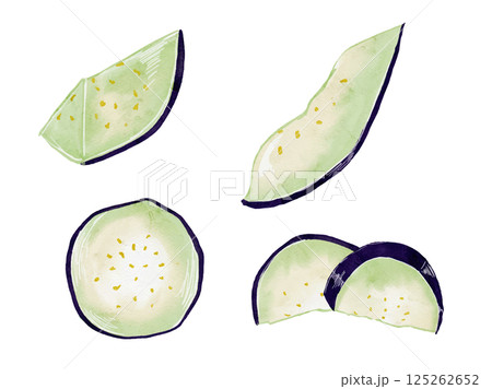 水彩で描いた夏野菜の採れたてナスのカット野菜　イラスト素材 125262652