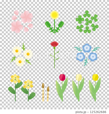 春の花 125262686