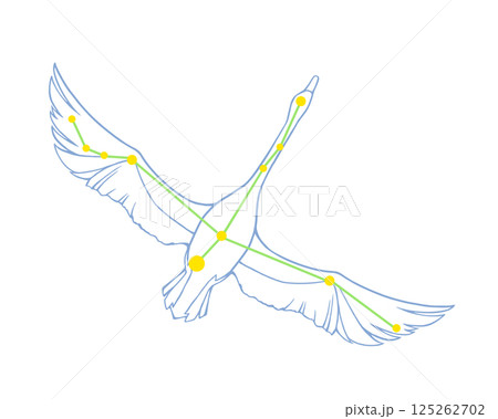 白鳥座のカラーイラスト 白鳥座のカラーイラスト 125262702