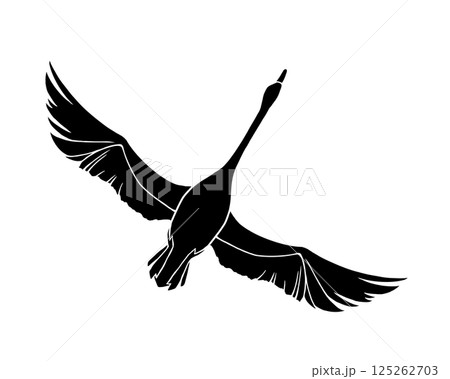 両翼を広げて飛ぶ白鳥の白黒イラスト(白フチあり) 両翼を広げて飛ぶ白鳥の白黒イラスト(白フチあり) 125262703