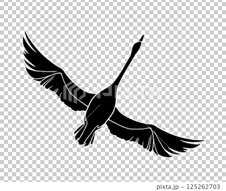 両翼を広げて飛ぶ白鳥の白黒イラスト(白フチあり) 両翼を広げて飛ぶ白鳥の白黒イラスト(白フチあり) 125262703