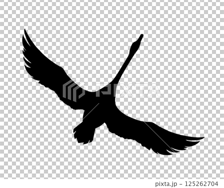 一隻展翅飛翔的天鵝的剪影插圖 一隻展翅飛翔的天鵝的剪影插圖 125262704