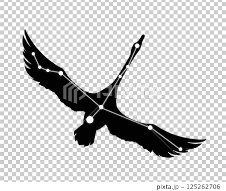 Cygnus silhouette illustration Cygnus silhouette illustration 125262706