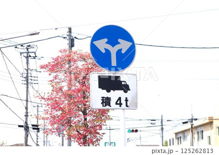 道路標識 125262813