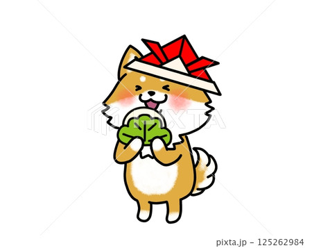 こどもの日 折り紙の兜をかぶった柴犬 こどもの日 折り紙の兜をかぶった柴犬 125262984