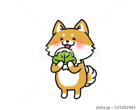 柏餅を食べる柴犬のイラスト 柏餅を食べる柴犬のイラスト 125262985