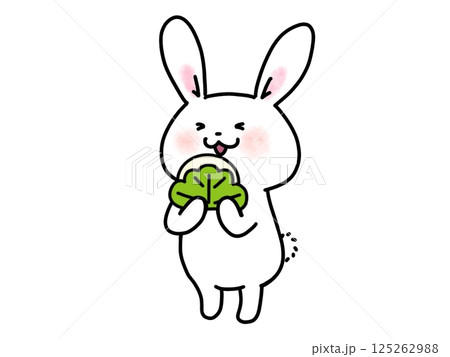 柏餅を食べるかわいいうさぎのイラスト 125262988
