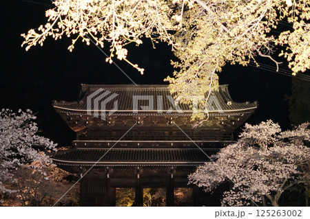 粉河寺の夜桜～山門と桜をライトアップ 125263002