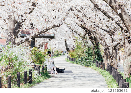 <春日井>桜の名所 水道道 <春日井>桜の名所 水道道 125263681