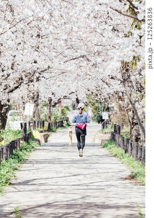 <春日井>桜の名所 水道道 <春日井>桜の名所 水道道 125263836