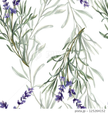 Violet lavender flowers watercolor seamless pattern. Floral hand drawn background with wild field floral elements, romantic purple clipart for textile, fabric, summer packing design 125264152