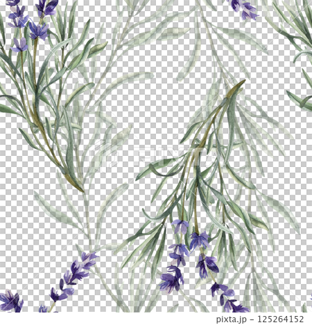 Violet lavender flowers watercolor seamless pattern. Floral hand drawn background with wild field floral elements, romantic purple clipart for textile, fabric, summer packing design 125264152
