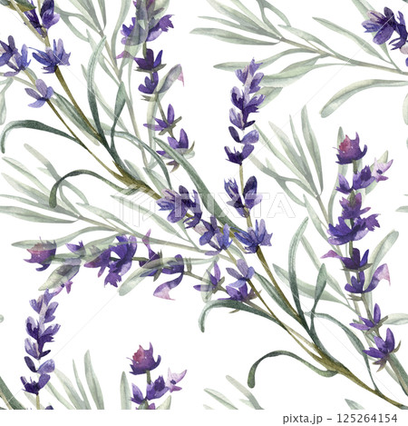 Lavender flower sprig with green leaves watercolor seamless pattern. Hand drawn floral background with violet field flowers and herbs, romantic elegant clipart for fabric, textile, wallpaper design Lavender flower sprig with green leaves watercolor seamless pattern. Hand drawn floral background with violet field flowers and herbs, romantic elegant clipart for fabric, textile, wallpaper design 125264154