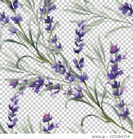 Lavender flower sprig with green leaves watercolor seamless pattern. Hand drawn floral background with violet field flowers and herbs, romantic elegant clipart for fabric, textile, wallpaper design Lavender flower sprig with green leaves watercolor seamless pattern. Hand drawn floral background with violet field flowers and herbs, romantic elegant clipart for fabric, textile, wallpaper design 125264154