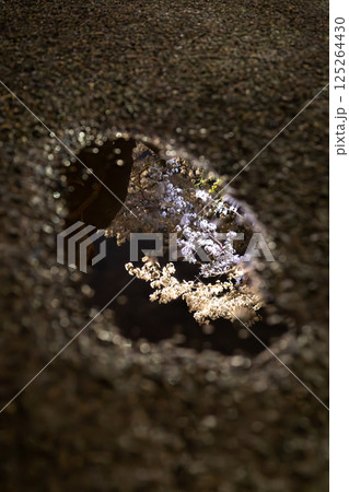 水たまりに反射する夜桜 水たまりに反射する夜桜 125264430