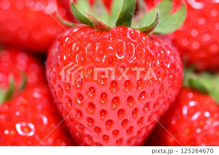 甘くて美味しいイチゴ（埼玉県産あまりん） 125264670