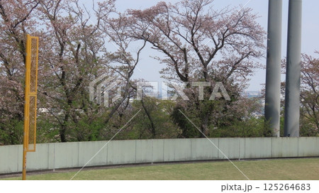 野球場のレフトポール 野球場のレフトポール 125264683