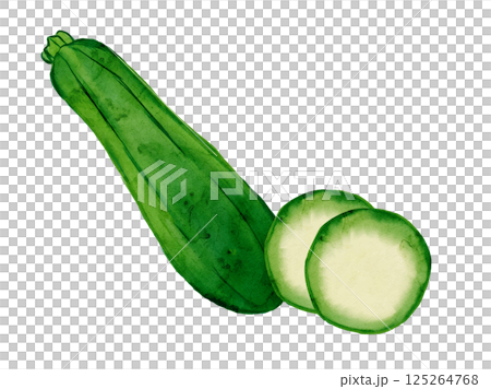 新鮮採摘的夏季蔬菜向量西葫蘆的水彩插圖 125264768