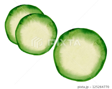 水彩で描いた夏野菜の採れたて野菜のベクターズッキーニのイラスト素材 125264770