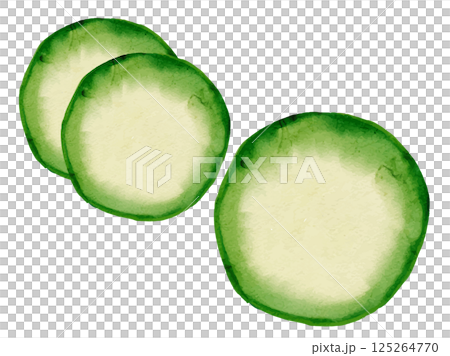 新鮮採摘的夏季蔬菜向量西葫蘆的水彩插圖 125264770