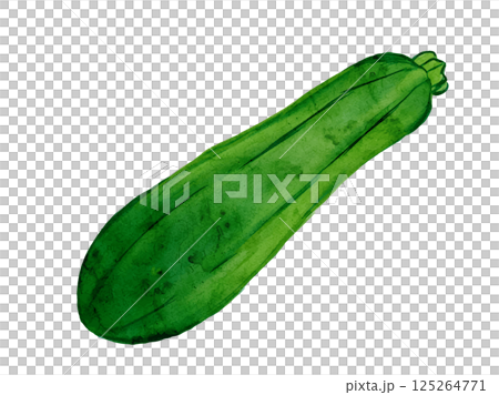 新鮮採摘的夏季蔬菜向量西葫蘆的水彩插圖 新鮮採摘的夏季蔬菜向量西葫蘆的水彩插圖 125264771