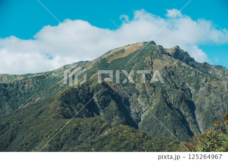 谷川岳の景色 125264967