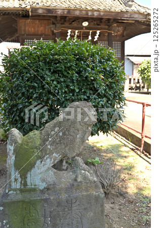 佐野散歩：稲荷神社　栃木県佐野市 125265272