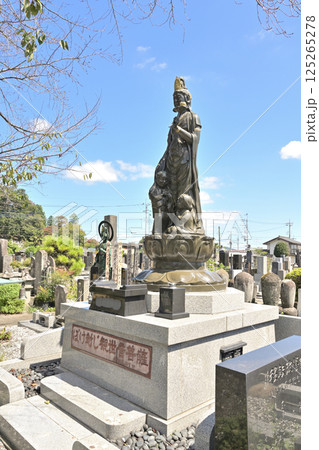 佐野散歩：浄土宗 大雲寺　栃木県佐野市 125265278