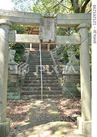 佐野散歩：日枝神社　観音山公園　栃木県佐野市 125265298
